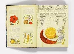 Penguin Random House Book Estoterica Sticker Book