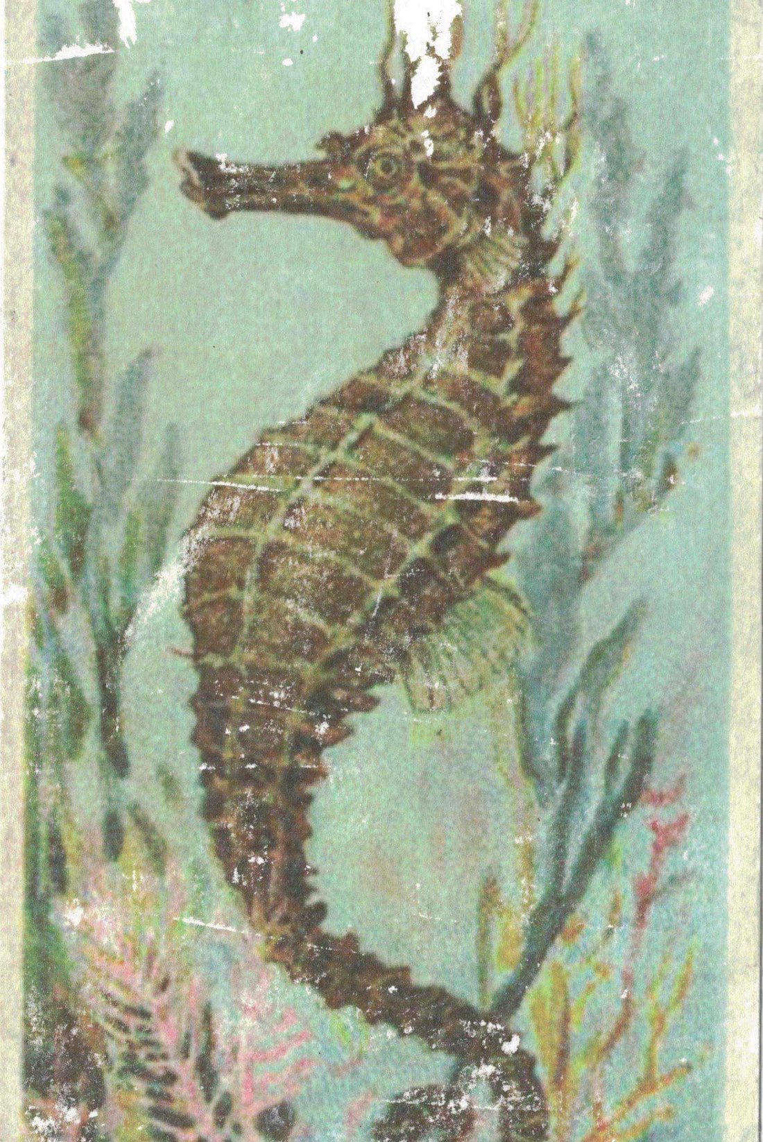 Happy 3rd Anniversary to The Paper Seahorse