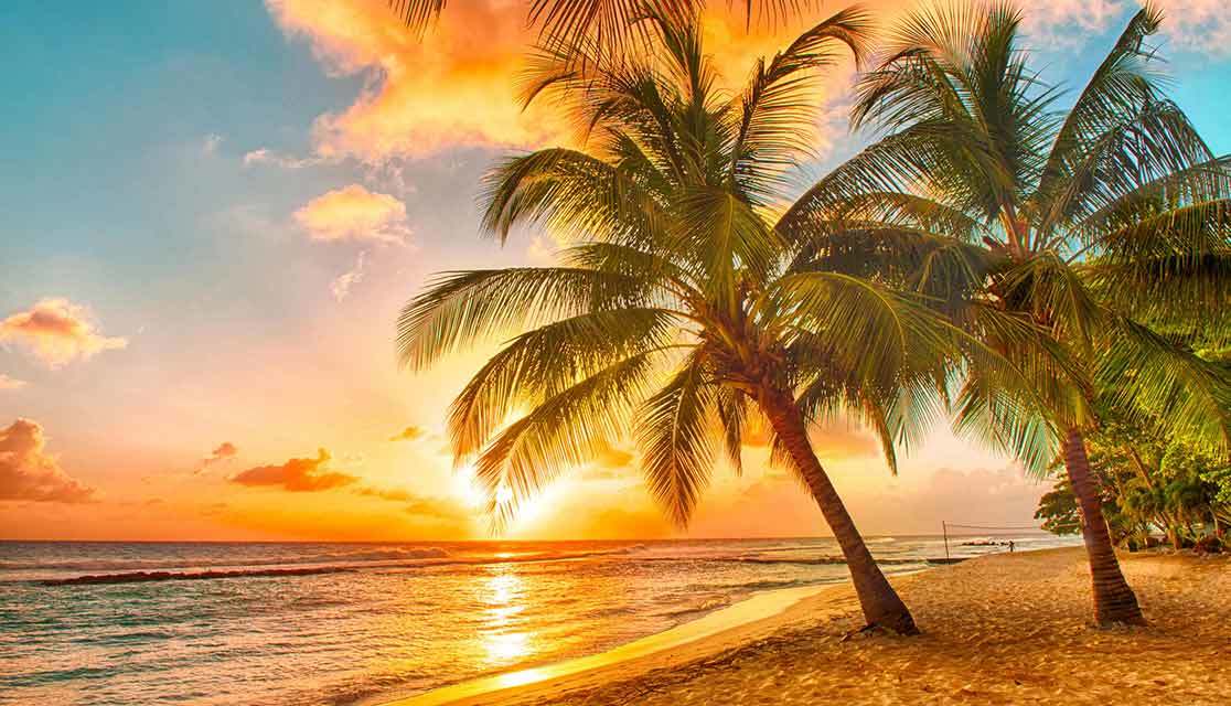 Resilience and The Art of Stillness: Taking It Slow in an Age of Acceleration