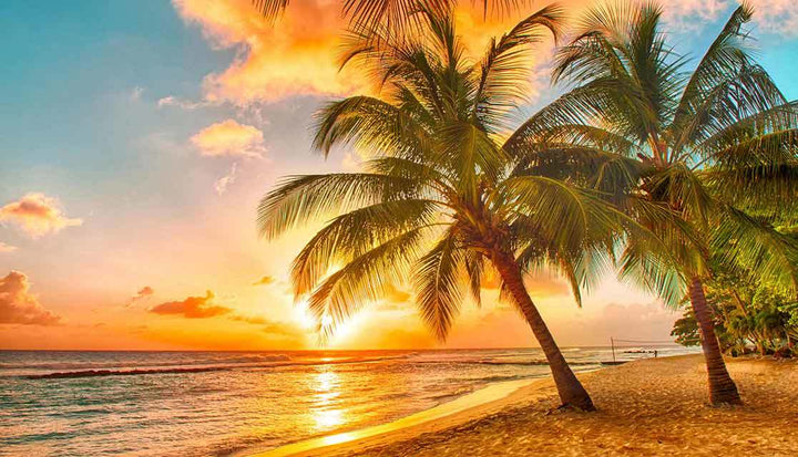 Resilience and The Art of Stillness: Taking It Slow in an Age of Acceleration