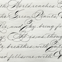 The Story of Spencerian Script