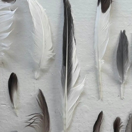 SPECIAL EVENT: Grateful Gathering for Stress Relief, Community + Connection