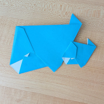 The Paper Seahorse Events September 20th 10a - 12p SPECIAL EVENT: Tampa Bay Origami Meet Up