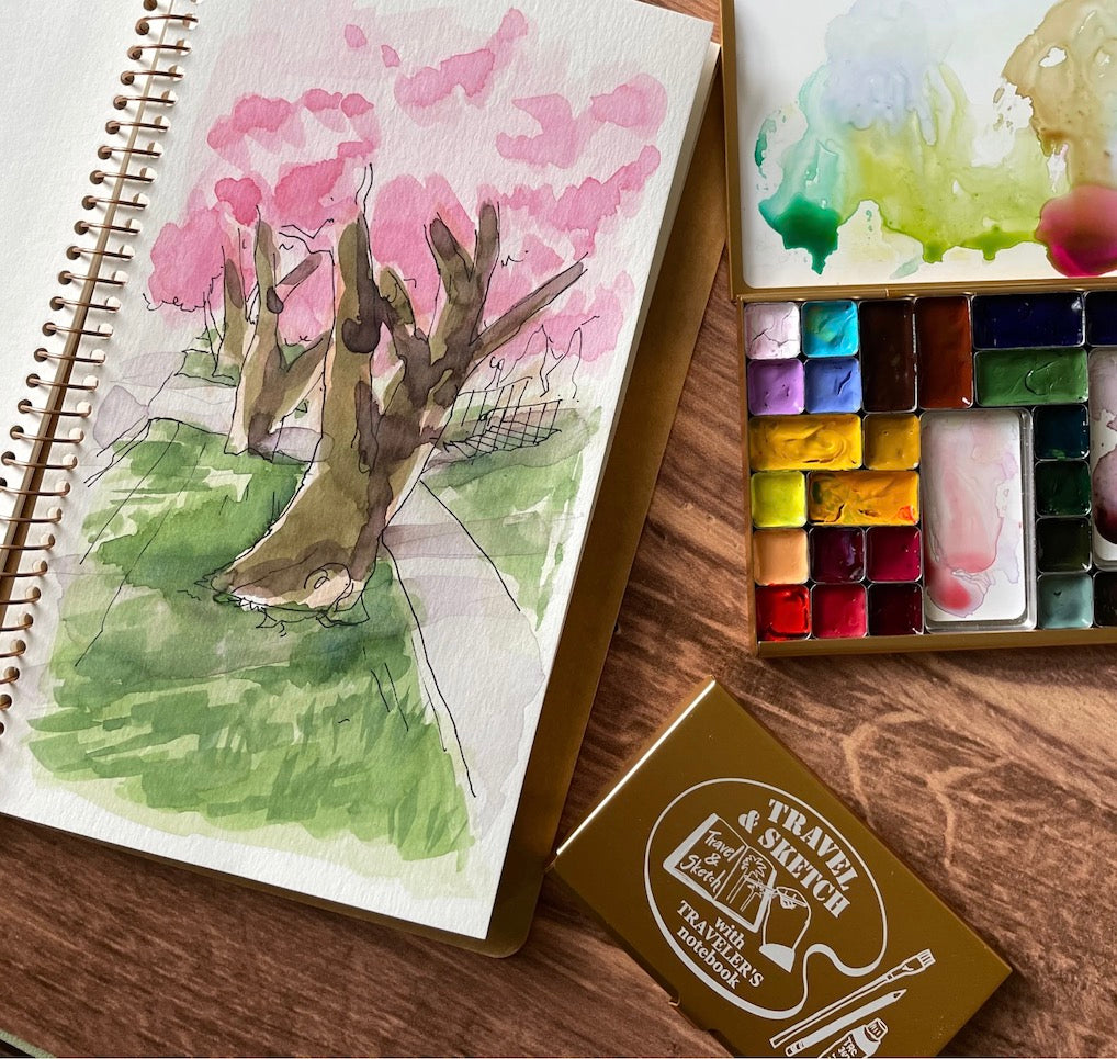 Designphil Accessories TRAVELER'S COMPANY Pocket Palette: Limited Edition TRAVEL &amp; SKETCH